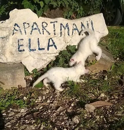 アパート Ella ポレッチ