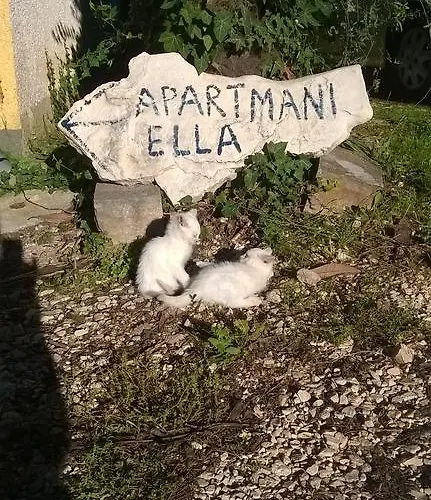 Ella Пореч