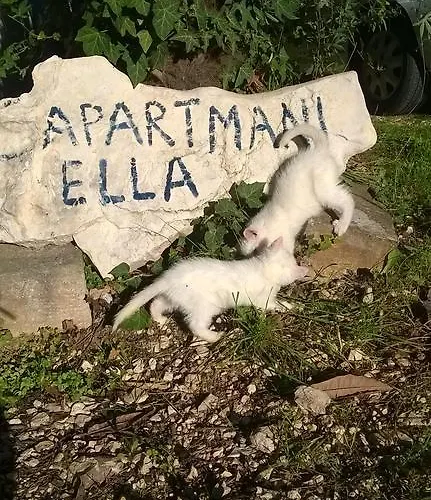 Apartmán Ella Poreč